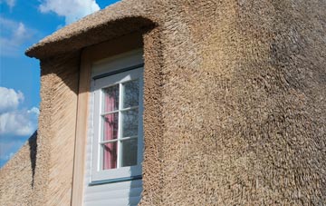 Craik thatch roof disadvantages